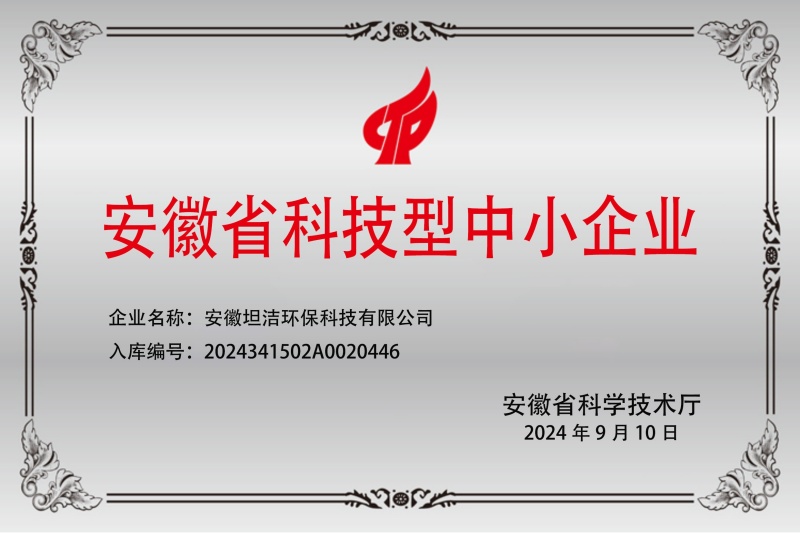 大渡口安徽科技型中小企业证书